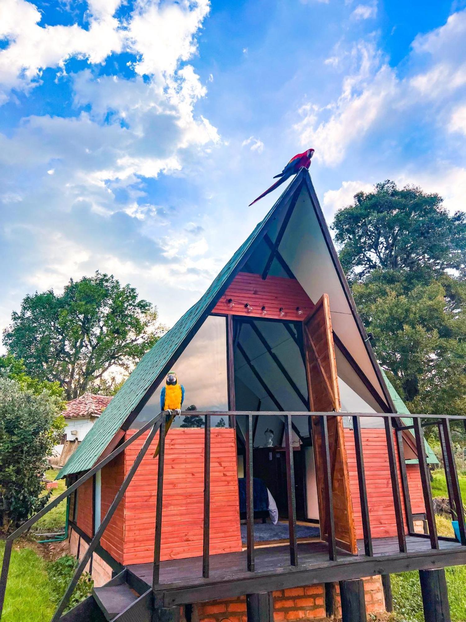 Glamping Deluxe Cerca Al Centro De De Leyva - By Serena Morena Luxury tent