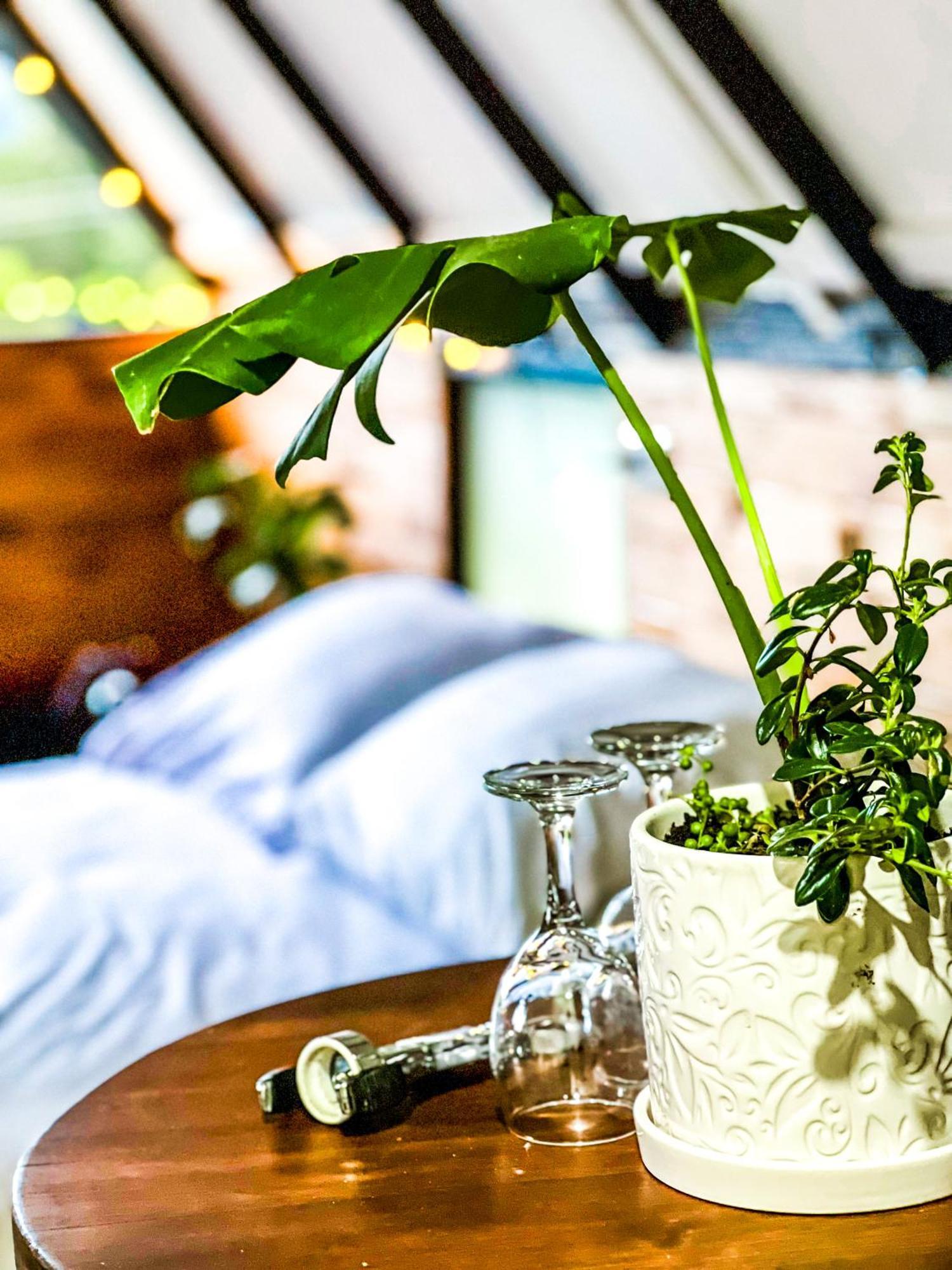 Glamping Deluxe Cerca Al Centro De De Leyva - By Serena Morena